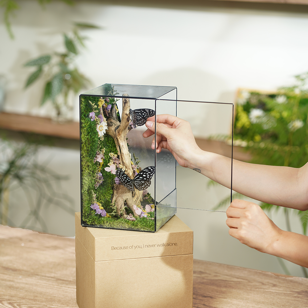 Golden Bloom Dance Cubic 25 – Whimsical Floral Terrarium, Perfect Gift for Birthdays and Anniversaries