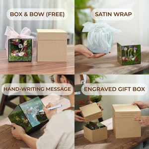 #TheGardenofMercy25